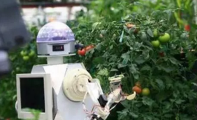 人工智能如何引领农业发展